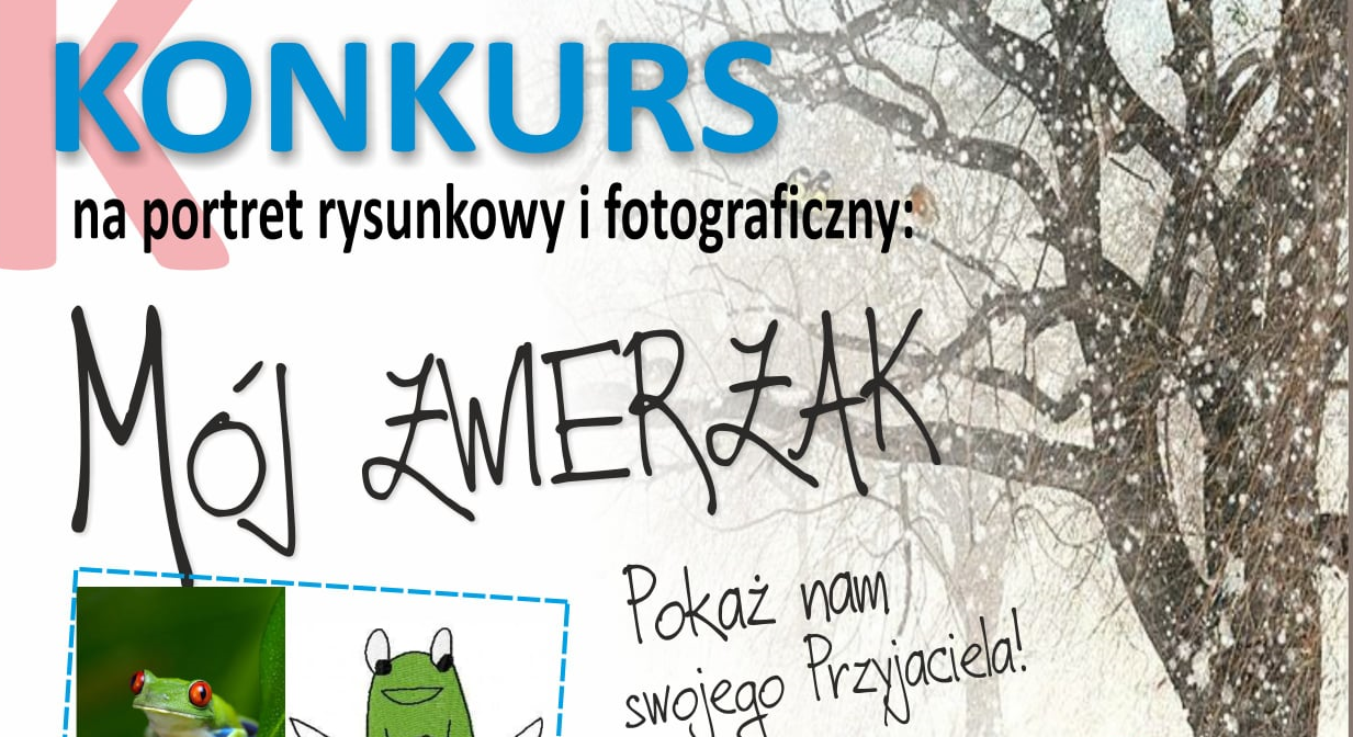 KONKURS FERYJNY – MÓJ ZWIERZAK