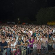 Dożynki  - Dożynki Gminno-Powiatowe 2015 - Połaniec