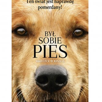 pies